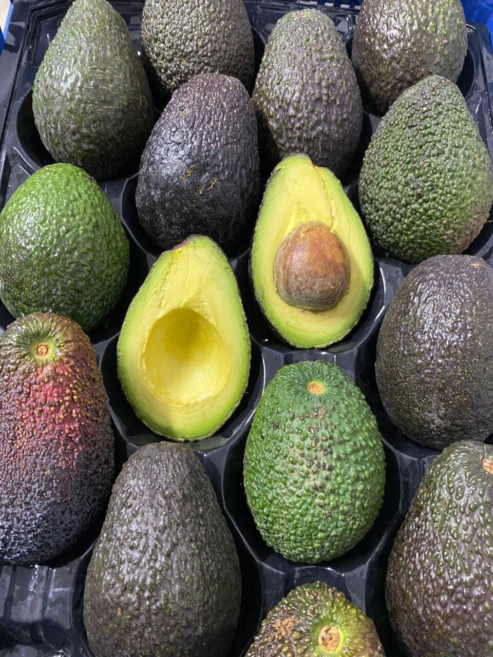 Hass Avokado Nedir? Özellikleri, Faydaları ve Olgunlaştırma Yolları