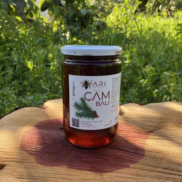 Çam Balı 850gr