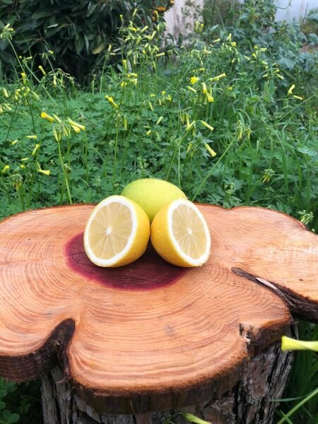 Limon