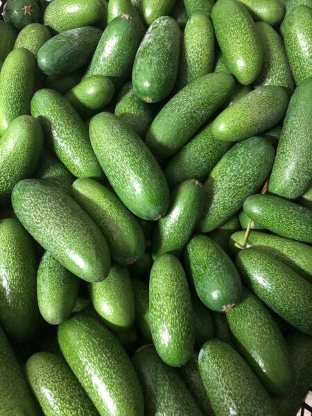 Bebek Avokado 1kg